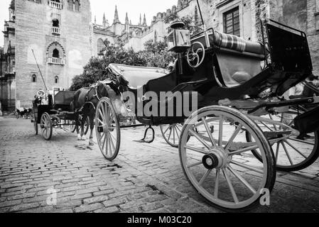 Horse carriage in Seville near the Giralda cathedral, Andalusia, Spain Stock Photo