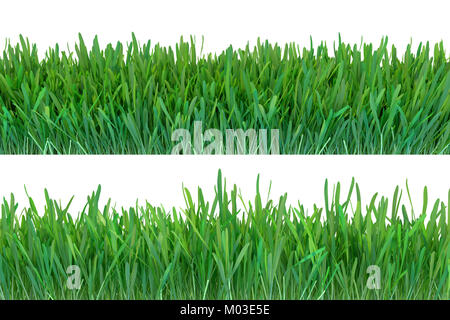 Green grass set. Nature background. Meadow. Spring, summer season. Plant growth 3d rendering. Stock Photo