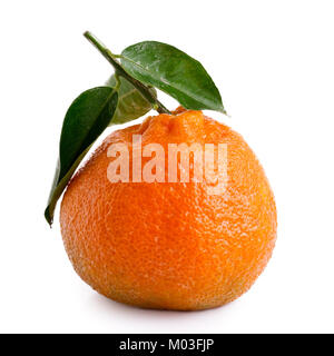 A single whole mandarin with a stem and leaves isolated on white. Stock Photo