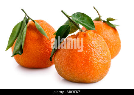 Three whole mandarins with leaves isolated on white. Stock Photo
