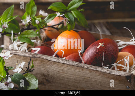 Blooming plum twigs and painted Easter eggs in rustic crate, springtime composition on wooden rural table Stock Photo