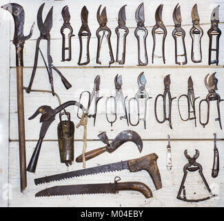 Old tools collection on wooden wall. Abstract photo. Stock Photo