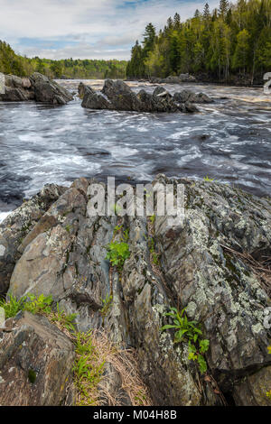 St. Louis River after heavy rains. Jay Cooke State Park, MN, USA,Late May, by Dominique Braud/Dembinsky Photo Assoc Stock Photo