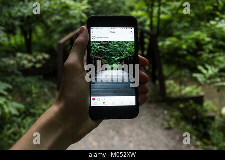 This image captures a close-up of a hand holding an iPhone with a gadget attached, possibly for macro photography. The image highlights the modern technology and the accessibility of advanced gadgets. Stock Photo
