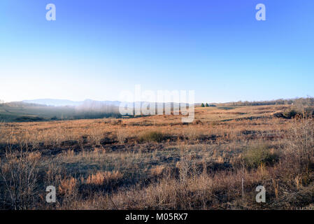 typical log cabin in the countryside United States with lots of negative space Stock Photo