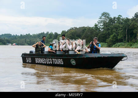 Tourists in a boat on the Kinabatangan River, Sukau Kinabatangan, Borneo, Sabah, Malaysia Stock Photo