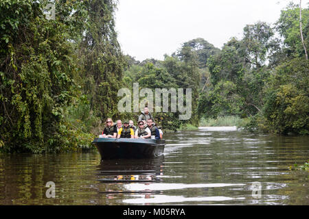 Tourists in a boat on a tributary of the Kinabatangan River, Sukau Kinabatangan, Borneo, Sabah, Malaysia Stock Photo