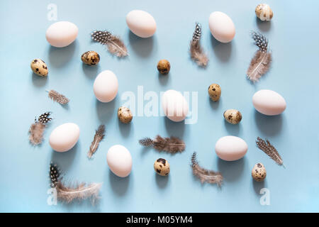 Organic white and quail eggs with feathers decor on blue background. Abstract pattern. Eggs in isometric. Stock Photo