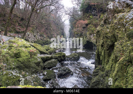 Fairy Glen is a spectacular gorge that leads to a twisting series of waterfalls and cascades that rush between vertical walls and across huge rocks Stock Photo