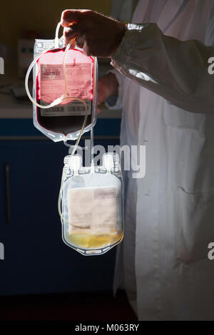 blood and platelet bags, transfusion center, hospital in Casale Monferrato, Piedmont, Italy Stock Photo