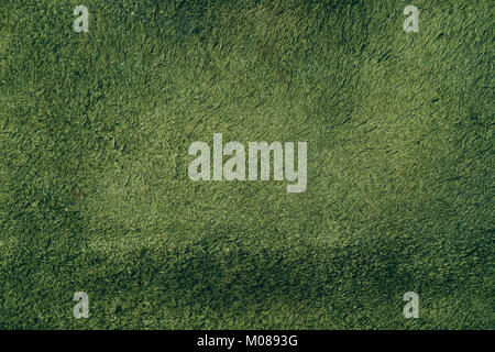 Green fabric texture Stock Photo