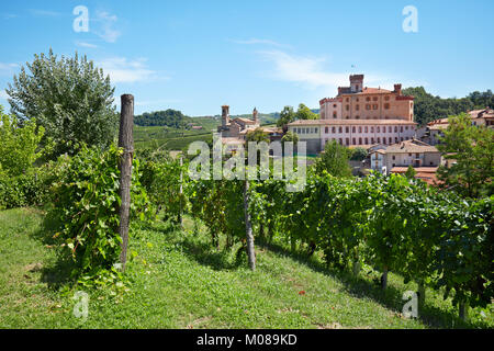 Barolo vineyards and medieval castle in Piedmont on Langhe hills in a sunny day in Italy Stock Photo