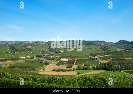 Green countryside with vineyards and fields, Langhe hills in Piedmont, Italy Stock Photo