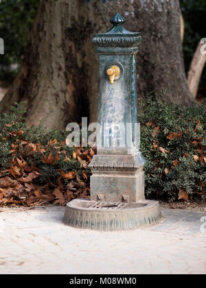 Bronze drinking fountain in a public park. Stock Photo