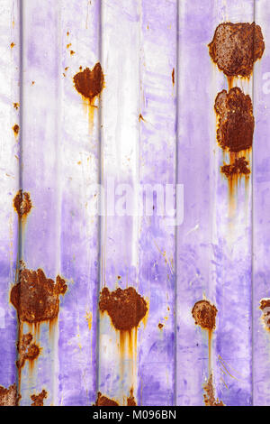 Orange gladiolus Flowers  for sale in a Crate in Cuba Stock Photo