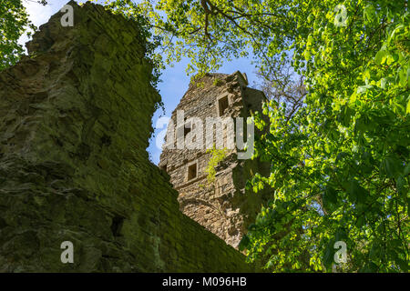 Ruins of Monastery Disibodenberg. World Heritage ruin of the Disibod monastery on the top of the hill Disibodenberg in Germany at Odernheim, Rhineland Stock Photo