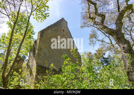 Ruins of Monastery Disibodenberg. World Heritage ruin of the Disibod monastery on the top of the hill Disibodenberg in Germany at Odernheim, Rhineland Stock Photo