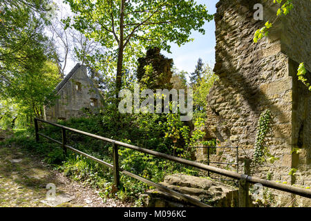 Ruins of Monastery Disibodenberg. World Heritage ruin of the Disibod monastery on the top of the hill Disibodenberg in Germany at Odernheim, Rhineland Stock Photo