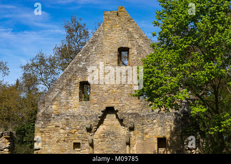 Ruins of Monastery Disibodenberg. World Heritage ruin of the Disibod monastery on the top of the hill Disibodenberg in Germany at Odernheim, Rhineland Stock Photo