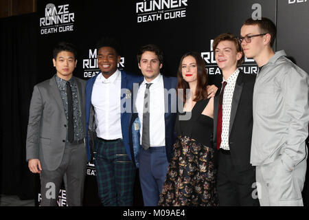 Dylan O'Brien, Kaya Scodelario & 'Maze Runner' Cast Reunite on Zoom During  Quarantine, Dexter Draden, Dylan O'Brien, Kaya Scodelario, Ki Hong Lee, Maze  Runner, Thomas Brodie-Sangster, Thomas Sangster-Brodie, Will Poulter