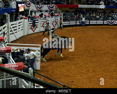 Fort Worth, USA. 19th Jan, 2018. Celebrating 100 years, the world's oldest indoor rodeo kicks off with saddle bronc riding with 27 rodeos scheduled before it ends on February 3. Credit: J. G. Domke/Alamy Live News Stock Photo