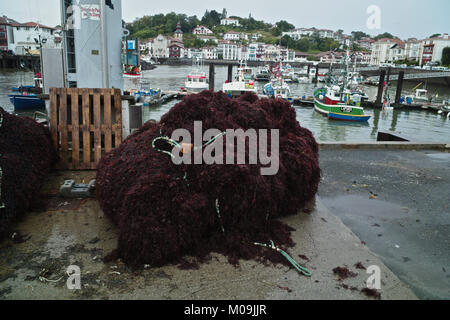 September 18, 2017 - Saint-Jean-De-Luz, Pyrenees-Atlantiques, France - Fishing boats bringing back Seaweed and algae, used as marine ingredients in a wide range of sea algae-infused skin and haircare items such as face creams and other anti-aging products. Credit: Credit: /ZUMA Wire/Alamy Live News Stock Photo
