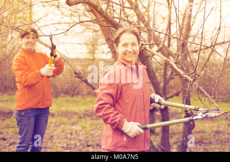 Two women trimming a bough of an apple tree Stock Photo