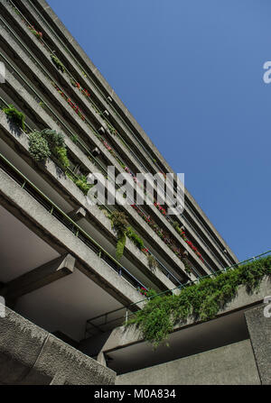 Flat balconies with plants at the Barbican Centre, London, UK Stock Photo