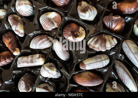 Guylian Belgium Chocolate Truffle shells in their packaging. Stock Photo