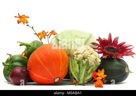 Vegetables and autumn flowers isolated on white background Stock Photo