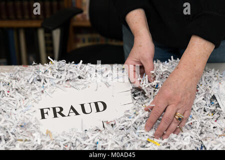 A woman's hands are sorting shredded paper with the word FRAUD shown in large letters Stock Photo