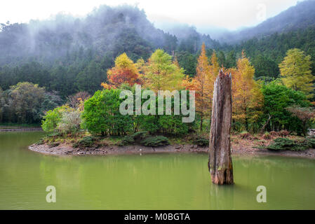mingchi forest recreation area in yilan, taiwan Stock Photo