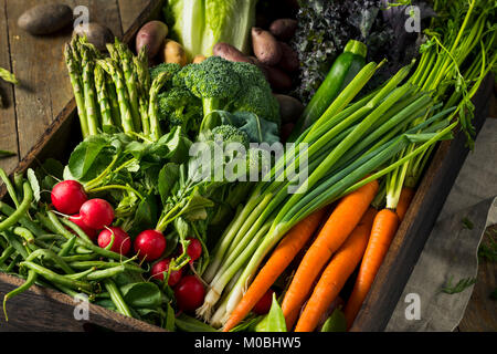 Raw Organic Spring Farmers Market Box with Asparagus Broccoli Kale Snow Peas and Green Onions Stock Photo
