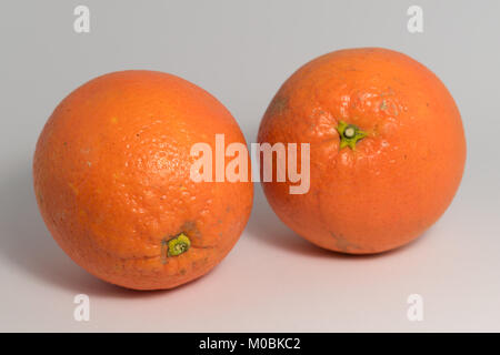 Two oranges in isolated white background Stock Photo