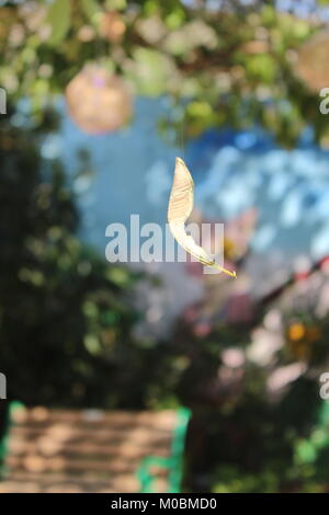 dry leaf hanging from tree by spider web Stock Photo