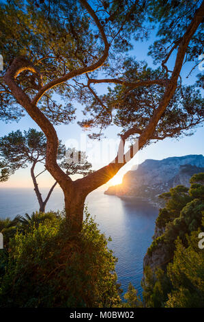 Golden light glowing through pine tree silhouettes as the sun sets behind a scenic panoramic view of the iconic cliffs of the island of Capri, Italy Stock Photo