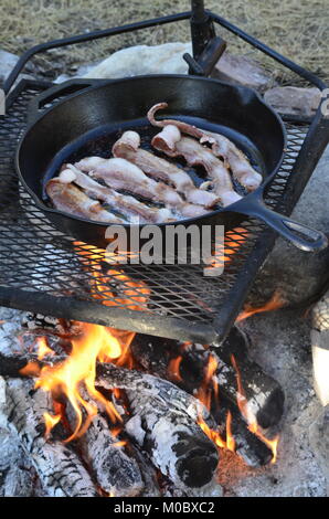 Cooking bacon over a campfire in a cast iron frying pan Stock Photo