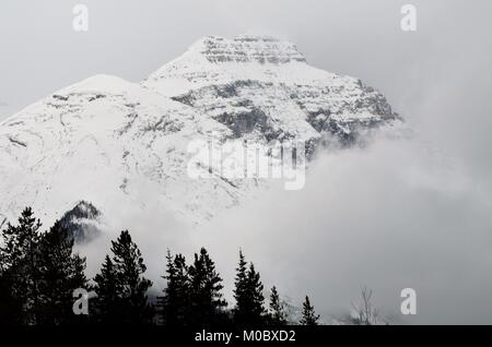 A cold foggy day up in the mountains, with fog moving in across the tree tops and begin to cover over the high mountains Stock Photo