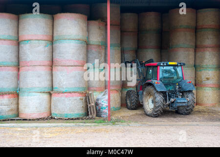 Red tractor is handling round hay bales that are neatly stacked in a barn Stock Photo