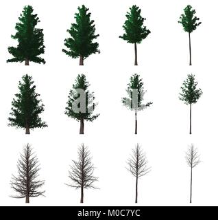 set of 12 painted green pine Stock Vector
