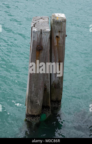 Three Decaying and Disused Wooden Piles, near Swanage Pier, Dorset Stock Photo