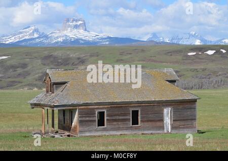 An old abandoned homestead sits quietly in a field with Chief mountain in the distance Stock Photo