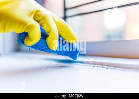 Yellow gloves hand cleaning dust, dirt on windowsill with blue sponge by window in urban apartment in New York City NYC Stock Photo
