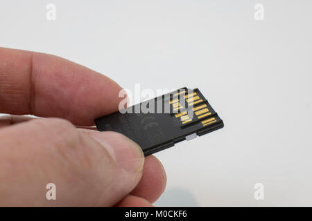 SD memory card Stock Photo