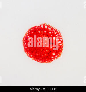 Closeup shot of glazed white ceramics texture with red circle in the middle Stock Photo