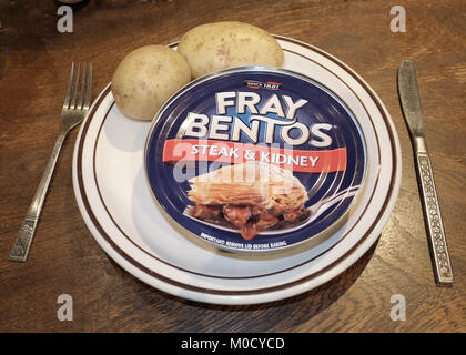 Fray Bentos Classic Steak & Kidney Pie 425G