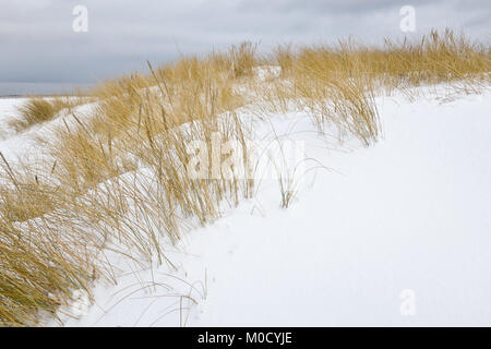 Snowy dunes by the Baltic sea, Riga, Latvia Stock Photo