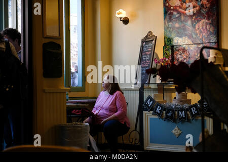 Santa Cruz, USA. 20th Jan, 2018. Women's March Santa Cruz, USA Resting Credit: Ruth Grimes/Alamy Live News Stock Photo