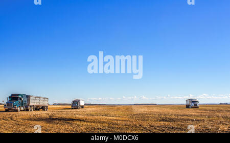 Heavy transport truck and trailer parked in a golden harvested field under a cloudy and sunny countryside autumn landscape Stock Photo