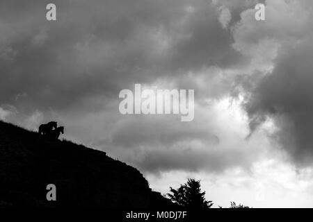 A silhouette of a couple of horses over a mountain cliff on Mt.Subasio (Umbria, Italy), against a cloudy sky